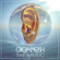 The Music - Gigamesh