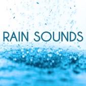 Rain Sounds artwork