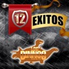 12 Éxitos