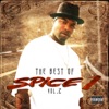 The Best of Spice 1, Vol. 2