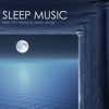 Sleep Music - Best 101 Relaxing Sleep Songs