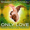 Only Love (feat. Pitbull & Gene Noble) [Mastiksoul Remix] - Single, 2015