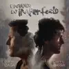 Pintando lo imperfecto (feat. Benny Ibarra) - Single album lyrics, reviews, download