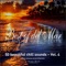 One Night in Rio (Ipanema Beach Mix) - DJ Maretimo lyrics