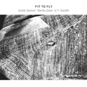 FIT TO FLY (feat. Guido Santoni, Danilo Gallo & U.T. Gandhi) artwork