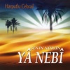 Harputlu Cebrail - Nerede Kaldı
