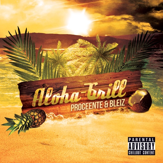 Cover artwork for Hip Hop Kemp