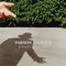 Sinner Like You - Parson James lyrics