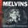 Melvins-Eye Flys