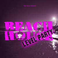 Various Artists - Beach House - Level Party artwork