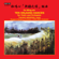 I'll Wait for You till Dawn - Takako Nishizaki, Singapore Symphony Orchestra & Hoey Choo