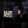 Pozeli - Single, 2015