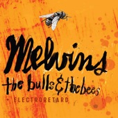 The Bulls & the Bees / Electroretard