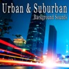 The Hollywood Edge Sound Effects Library - Busy New York City Street Walla