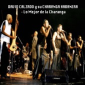 Lo Mejor de la Charanga artwork