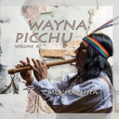 Machu Picchu artwork