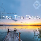 Into the Deep (Lazy Hammock Mix) artwork