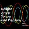 Delight Anger Sorrow and Pleasure - EP