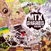 Shards, Vol. 1 - The Mr. T Experience