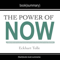 FlashBooks Book Summaries - Summary of The Power of Now: A Guide to Spiritual Enlightenment, by Eckhart Tolle: Includes Analysis (Unabridged) artwork