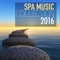 Spa Music Collective 2016 - John Spa Williams lyrics