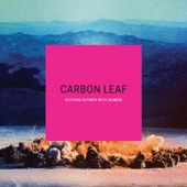 Carbon Leaf - Mexico