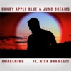 Awakening (feat. Nick Bramlett) - Single