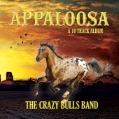 Appaloosa artwork