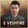 E Veshtire - Single