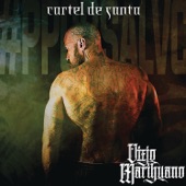 Viejo Marihuano artwork