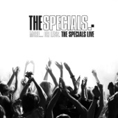 The Specials - Concrete Jungle (Live)