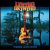 Sweet Home Alabama by Lynyrd Skynyrd iTunes Track 20