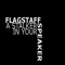 Stalker In Your Speaker (feat. Tove Styrke) - Flagstaff lyrics