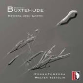 Membra Jesu nostri, BuxWV 75, Cantata No. 5 "Ad pectus": Sicut modo geniti infantes rationabiles artwork