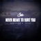 Never Meant to Hurt You (feat. D. Salas) - Selo lyrics