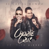Se Cae el Mundo (feat. Tito Nieves) artwork