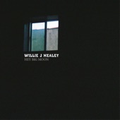 Willie J Healey - Satellite