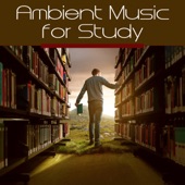 Ambient Music for Study artwork