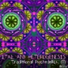 Traditional Psychedelics - Single, 2017
