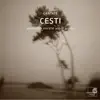 Cesti: Cantate album lyrics, reviews, download