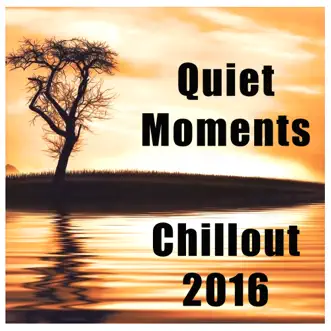 Quiet Moments: Chillout 2016 by Various Artists album reviews, ratings, credits