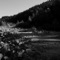 Gravel Road - Ian Hawgood lyrics