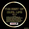 The Best of Dual Life Vol.2 album lyrics, reviews, download