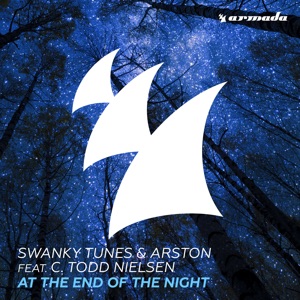 At the End of the Night (feat. C. Todd Nielsen) - Single