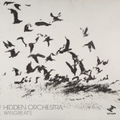 Hidden Orchestra - Wingbeats Source III - Piano and Wings