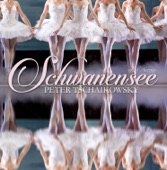 Schwanensee, Op. 20: Akt III No. 23, Spanischer Tanz artwork