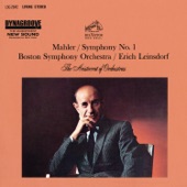 Mahler: Symphony No. 1 in D Major artwork