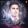 Can't Forget You (Tujhe Bhula Diya) - Single album lyrics, reviews, download