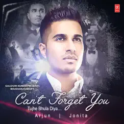 Can't Forget You (Tujhe Bhula Diya) - Single by Arjun, Jonita Gandhi & Vishal & Shekhar album reviews, ratings, credits