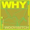 Why feat. Alexandros and Badword - Wooyisitch lyrics
